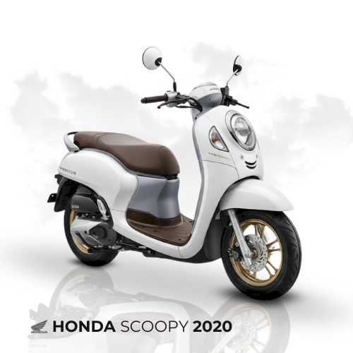 Scoopy 2019-2020