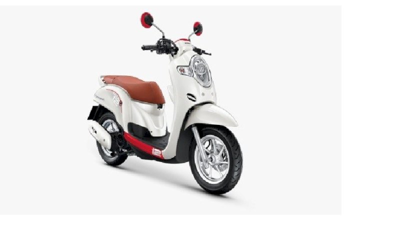 Scoopy 2020