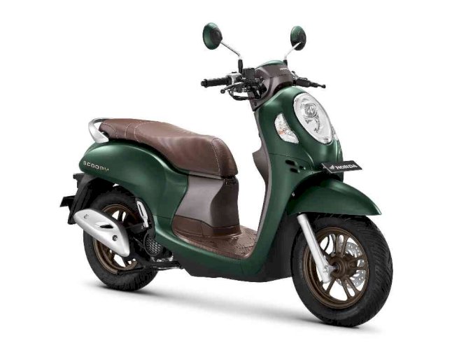 Scoopy 2022